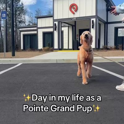 Instagram post thumbnail