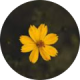 review profile image