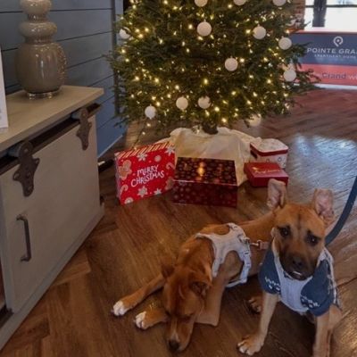 Instagram post thumbnail