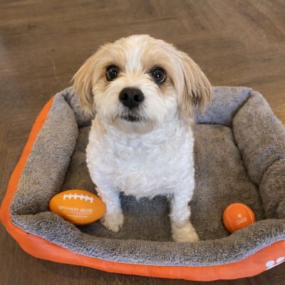 Instagram post thumbnail