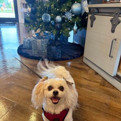 Instagram post thumbnail