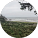 review profile image