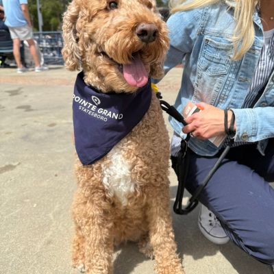 Instagram post thumbnail