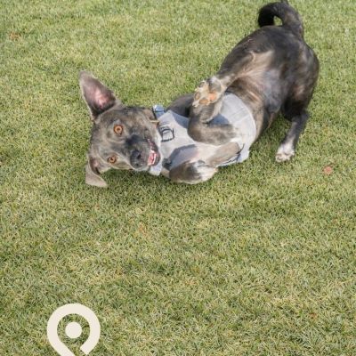 Instagram post thumbnail