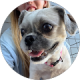 review profile image