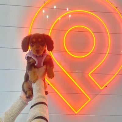 Instagram post thumbnail