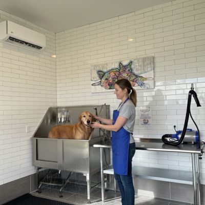 Instagram post thumbnail