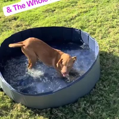 Instagram post thumbnail