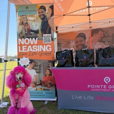 Instagram post thumbnail